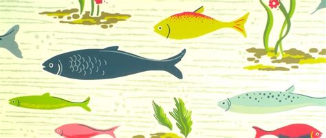 8 Easy Marine Life Drawing Tips .